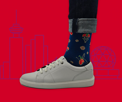 Khazar Bundle - Designer Cotton Socks. Refined elegance with a touch of contrast.